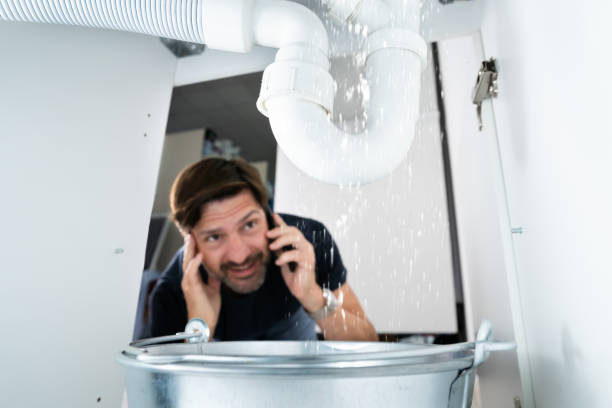 Best Local Plumber Services  in West Union, OH